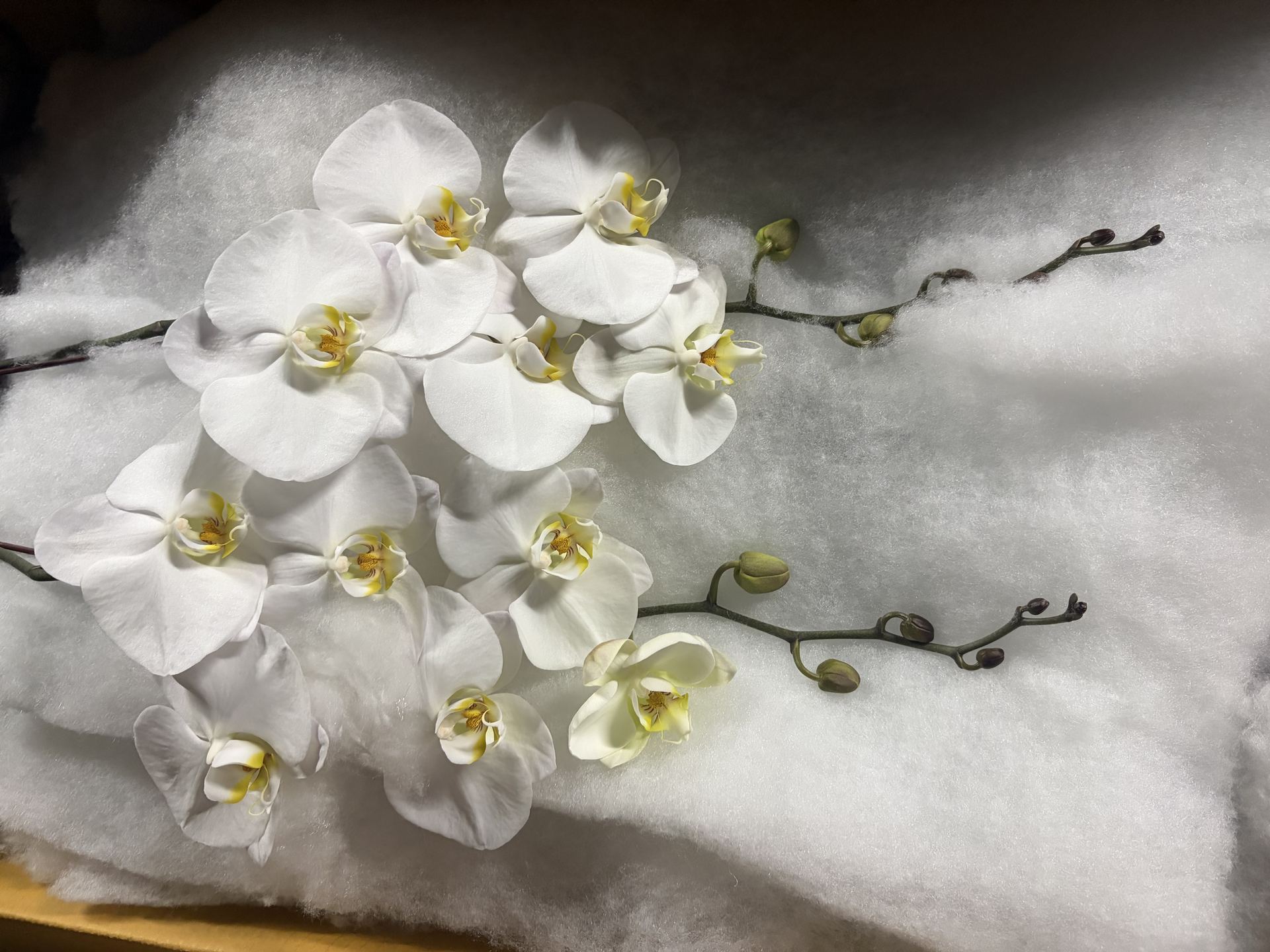 White Stem Cascade